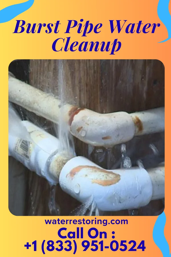 Burst Pipe Water Cleanup in Lincoln, AR